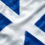 День финского флага (Finnish Flag Day)