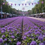 Фестиваль фиалок в Тулузе (Франция)