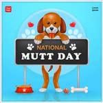 День дворняги (National Mutt Day) в США